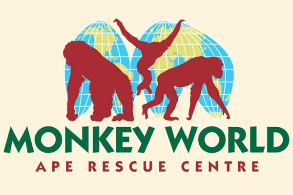 monkey world monkey world